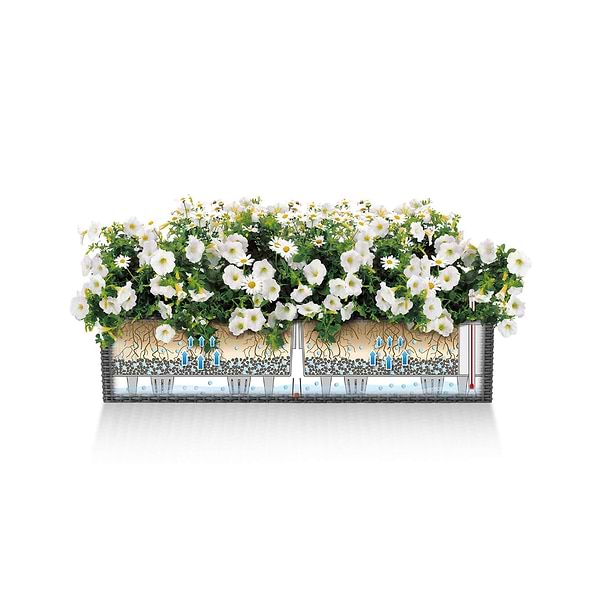 Фото - Вазон Lechuza BALCONERA Cottage 80 графітовий чорний 15619