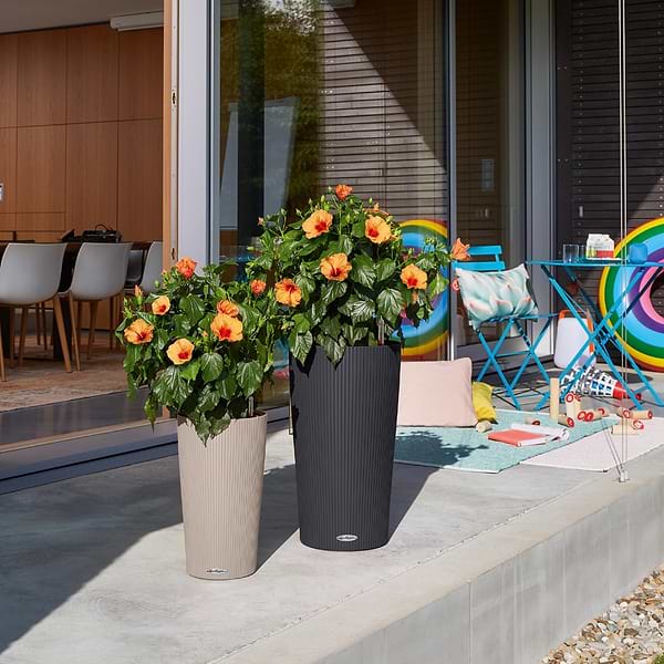 Фото - Вазон Lechuza Cilindro color 23 сірий 13943