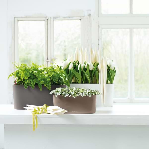 Фото - Вазон Lechuza Delta Premium 20 антрацит 15563