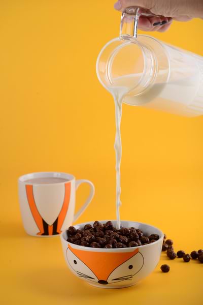 Фото - Набір дитячий Limited Edition Happy Fox (YF6012)