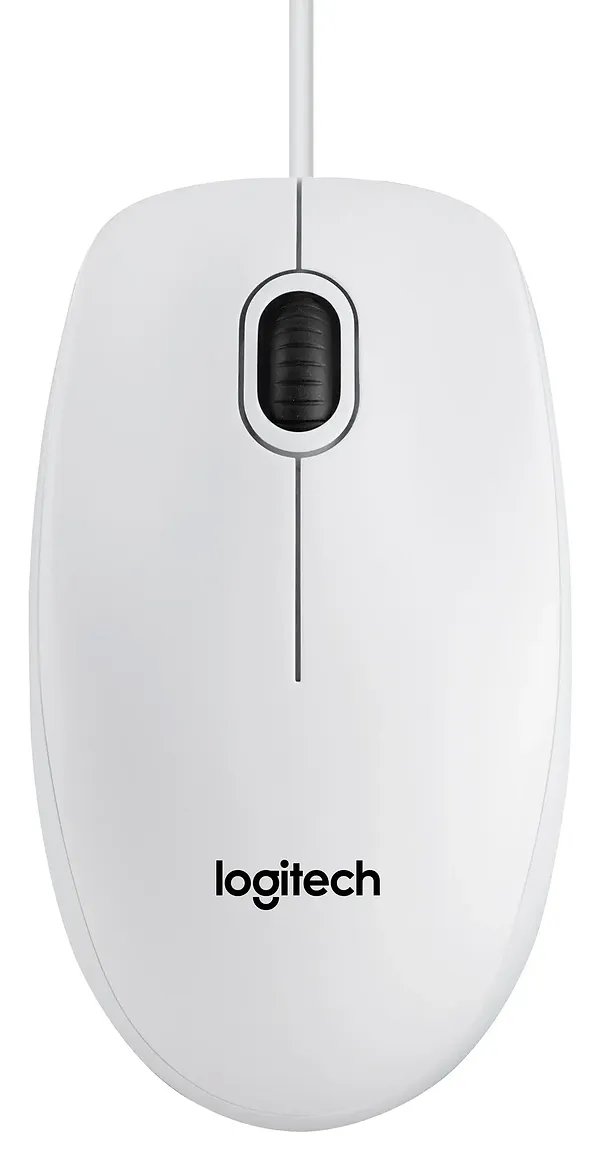 Фото - Мышь компьютерная Logitech B100 White (910-003360)