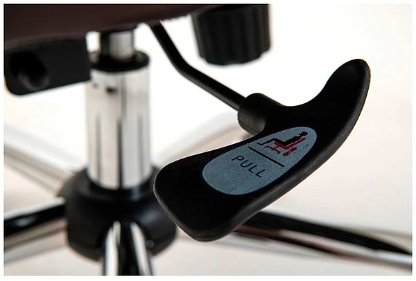 Фото - Кресло офисное Richman Конгресс Хром M-2 Широкий (Anyfix Wide) Кожа Люкс Коричневая