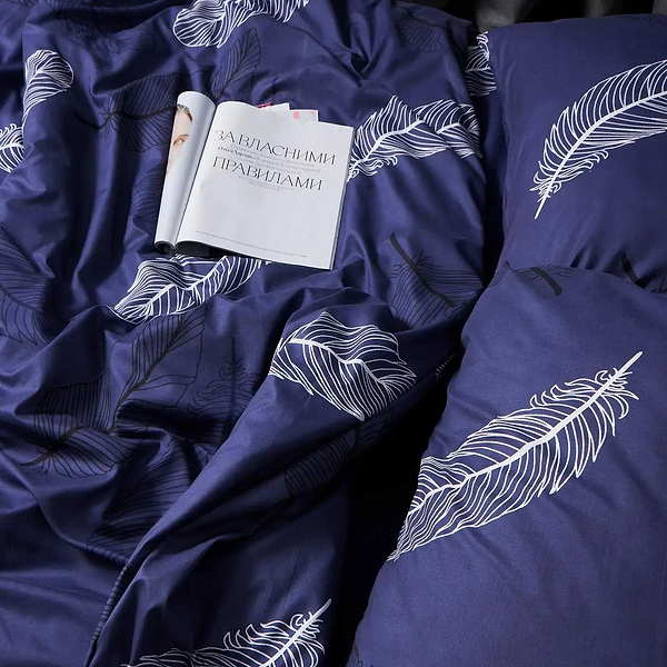 Фото - Комплект постельного белья Moon&Star Микросатин Premium Night Feathers 143х210х2 см нав. 2х50х70 (MS-820007971)