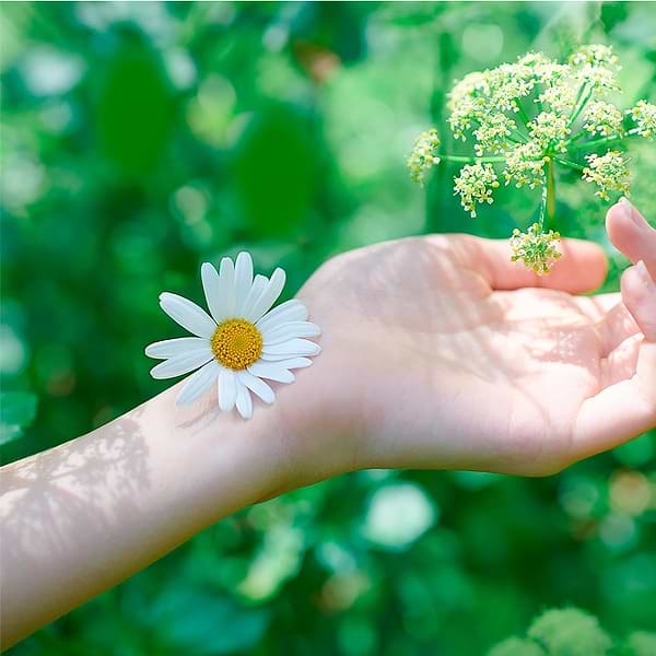 Фото - Прокладки гігієнічні Naturella Camomile Normal 40шт