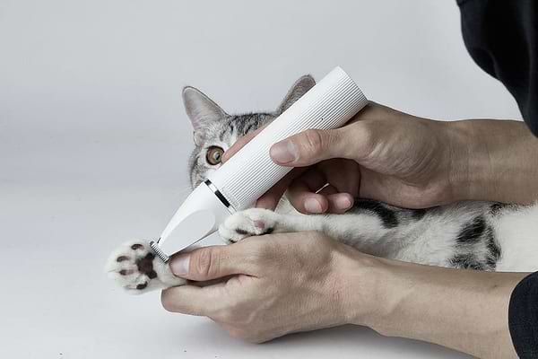Фото - Машинка для стрижки тварин PETKIT 2 in 1 Pet Trimmer Pro (PK413)