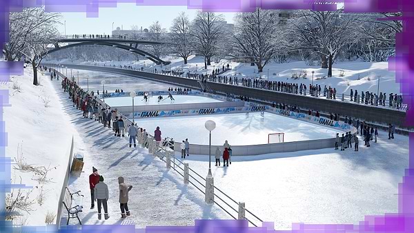 Фото - Ігровий диск PS4 NHL20 [Blu-Ray диск]