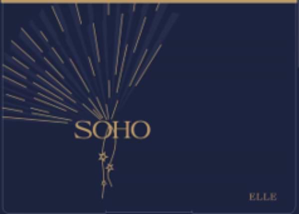 Фото - Комплект постільної білизни SOHO Elle 200х230 Voyage Green (A130063)