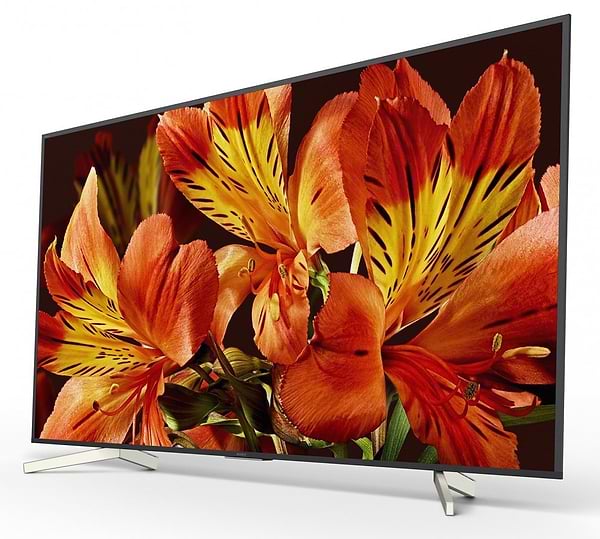 Фото - Телевізор Sony KD85XF8596BR2