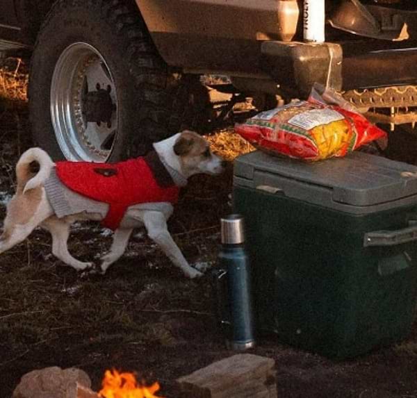 Фото - Термос Stanley Legendary Classic Nightfall 1.9 л