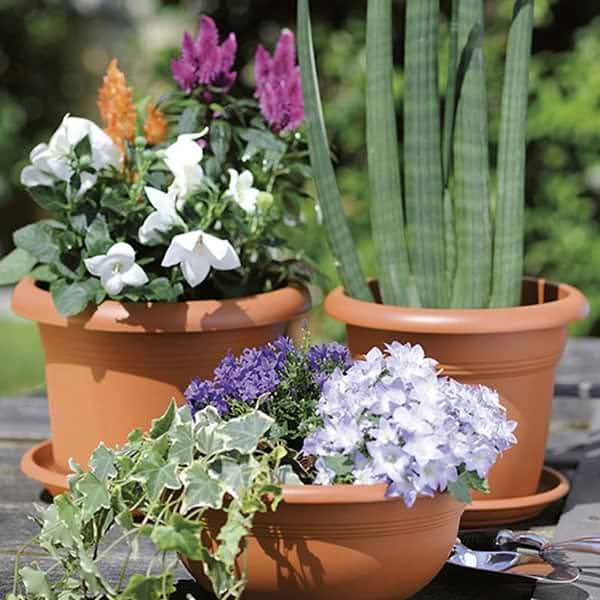 Фото - Вазон Stefanplast Mediterraneo теракот 55х41 см 82550