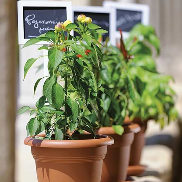 Фото - Вазон Stefanplast Mediterraneo теракот 55х41 см 82550