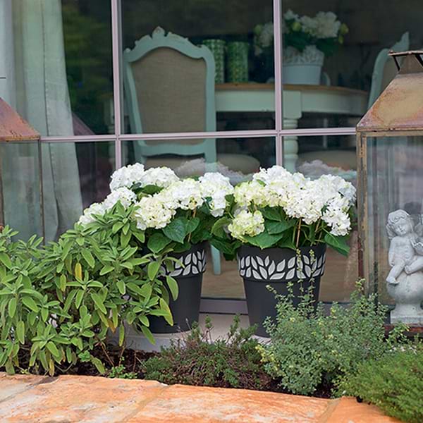 Фото - Вазон Stefanplast OPERA Cloe 25 см капучино/ваниль 94125