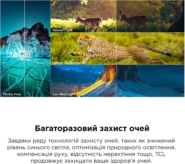 Фото - Телевізор TCL 50P755