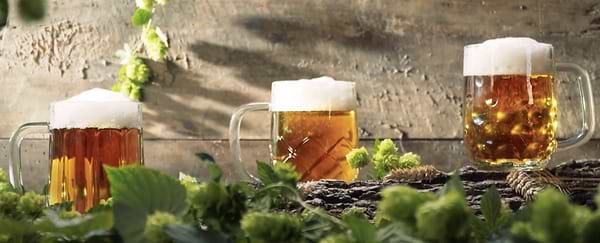 Фото - Бокал tescoma 309022 myBEER Lupulus