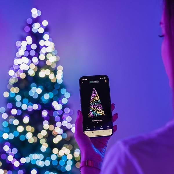 Фото - Гірлянда фігурна Twinkly Candies Pearl RGB 200 IP20 12м USB-C (TWKP200RGB-G)