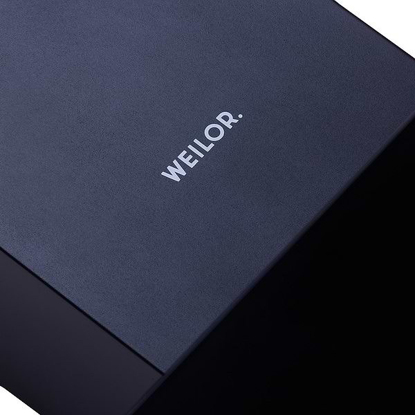 Фото - Вытяжка декоративная Weilor WDS 62301 R BL 1000 LED