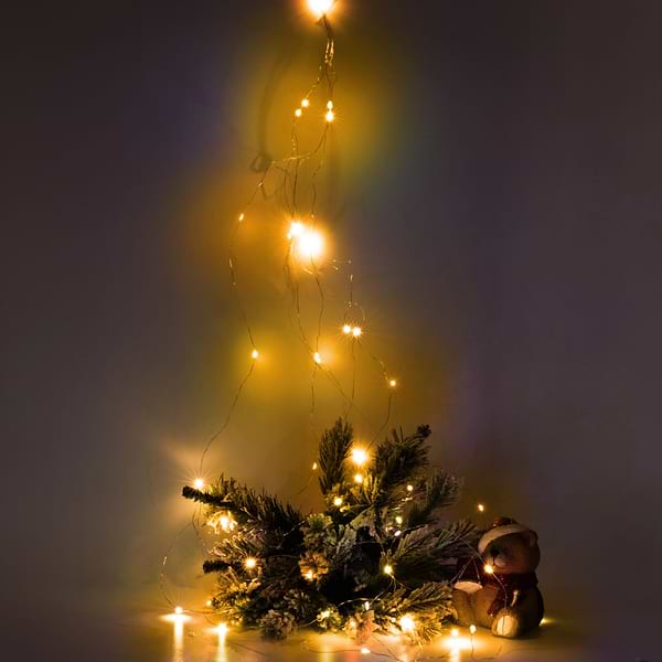 Фото - Гірлянда лінійна YES! Fun пучок мідний 50 LED тепло-біла 1 м батареї (975013)