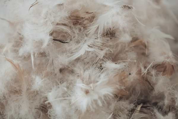 Фото - Подушка стандартна MirSon №2761 Extra 40х60 см (2200005193679)