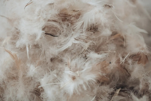 Фото - Подушка стандартная MirSon Extra 106 40x60 см (2200000016928)