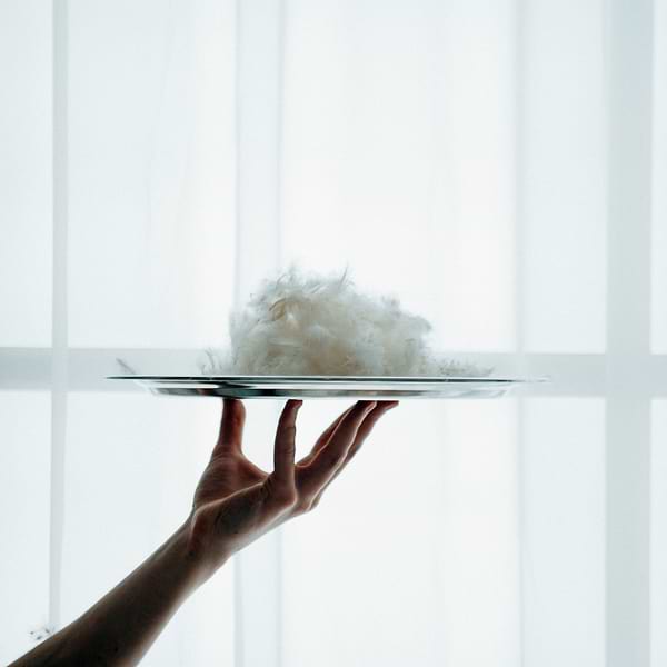 Фото - Ковдра всесезонна двоспальна євро MirSon Raffaello 063 200х220 см (2200000075154)