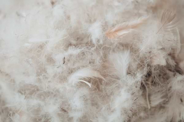 Фото - Подушка стандартная MirSon Extra Premium Royal 105 40x60 см (2200000017291)