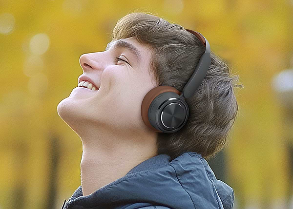 Фото - Наушники накладные беспроводные Muse M-271 DB Brown