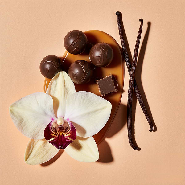 Фото - Аромадифузор Esse Home Какао та Ваніль 100 мл (HOME-CV)