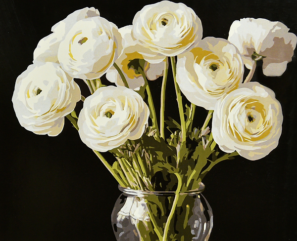 Фото - Картина по номерам Strateg Белые ранункулюсы 40х50 (AH1301)