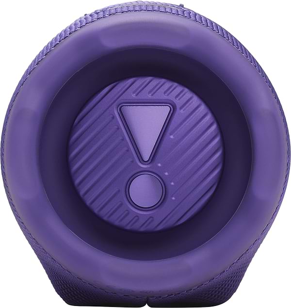 Фото - Портативная акустика JBL Charge 6 Purple (JBLCHARGE6PUR)