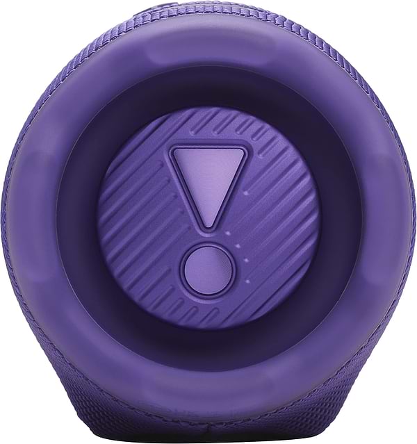 Фото - Портативная акустика JBL Charge 6 Purple (JBLCHARGE6PUR)