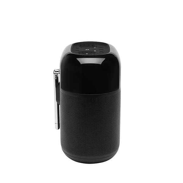 Фото - Портативная акустика JBL Tuner 2 FM Black (JBLTUNERXLBLKEUNA)