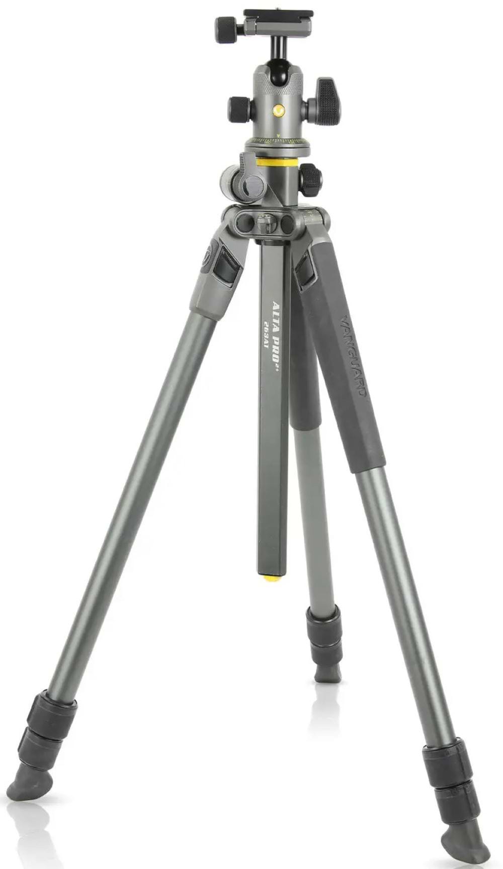 Штатив Vanguard Alta Pro 2+ 263AB 100 - Фото 1