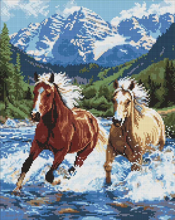 Алмазная живопись Ideyka Сила в движении 40х50 см (AMO20010)