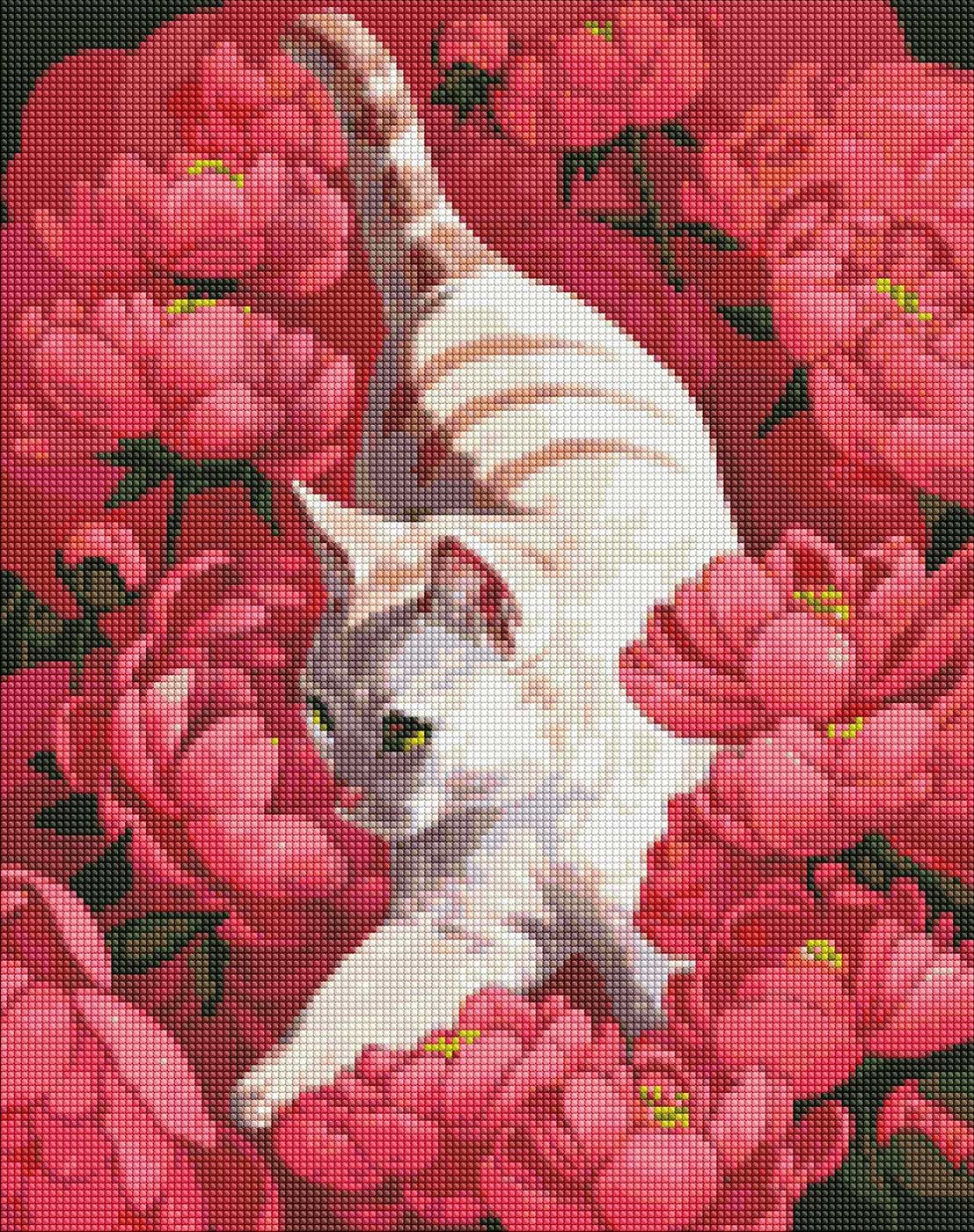 Алмазний живопис Ideyka "Котик у півоніях" 40х50см (AMO7258)