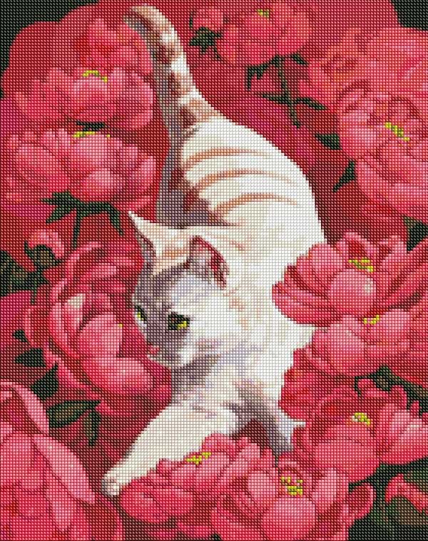 Фото - Алмазная живопись Ideyka "Котик в пионах" 40х50см (AMO7258)