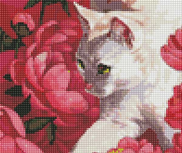 Фото - Алмазная живопись Ideyka "Котик в пионах" 40х50см (AMO7258)