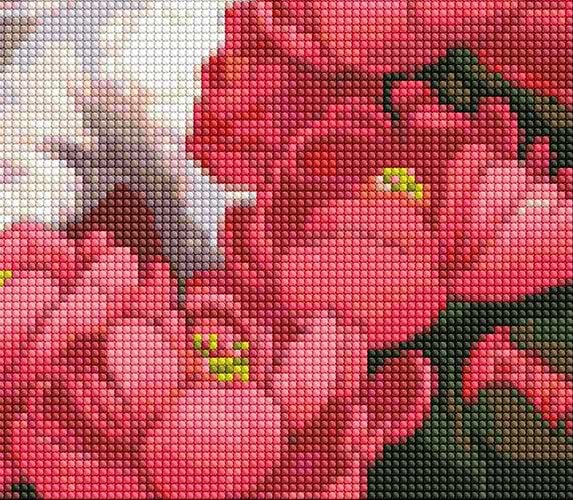 Фото - Алмазная живопись Ideyka "Котик в пионах" 40х50см (AMO7258)