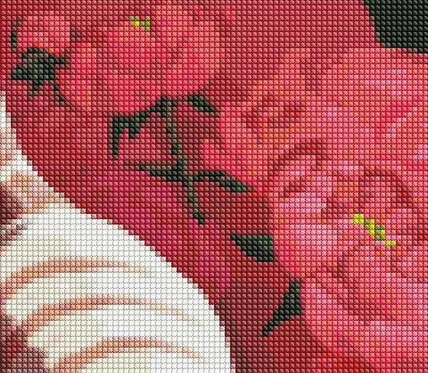 Фото - Алмазная живопись Ideyka "Котик в пионах" 40х50см (AMO7258)