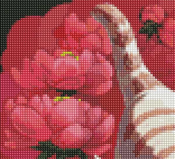 Фото - Алмазная живопись Ideyka "Котик в пионах" 40х50см (AMO7258)