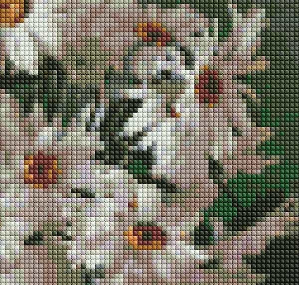 Фото - Алмазний живопис Ideyka "Ромашкова краса" 40х40см (AMO7331)