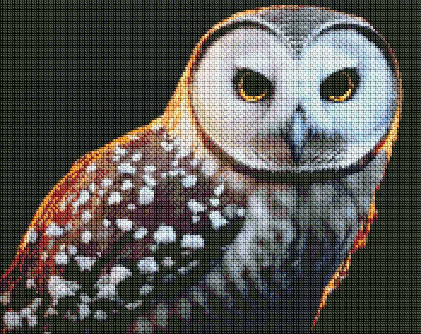 Алмазная живопись Ideyka Гордый взгляд 40х50 см (AMO7445)