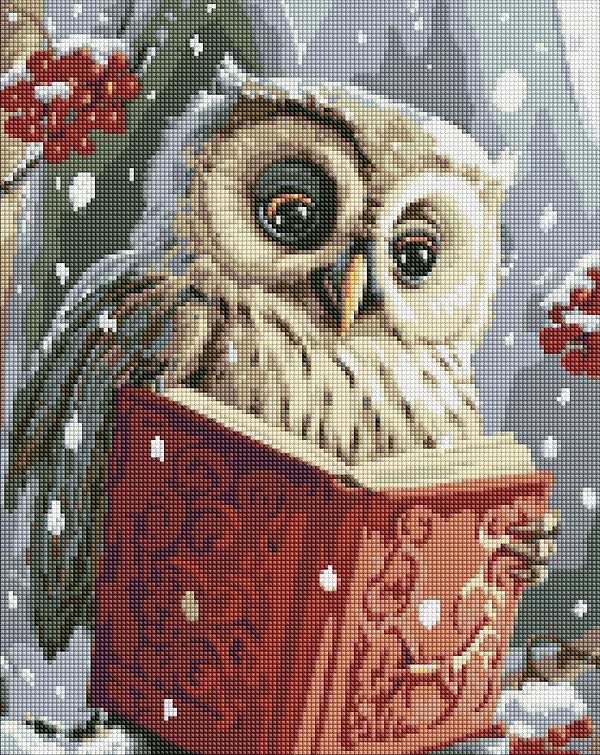 Фото - Алмазний живопис Ideyka Розумна совушка з АВ стразами 40х50 см (AMO7816)