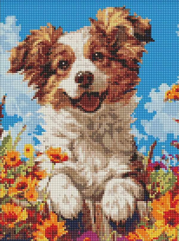 Фото - Алмазная живопись Ideyka Собака в цветах 30х40 см (AMC8022)