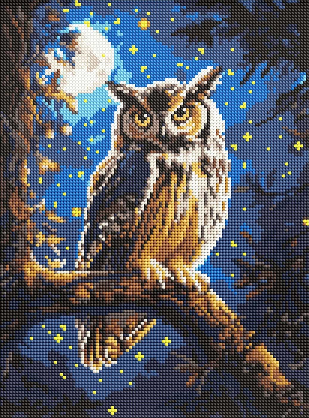 Купити Алмазний живопис Ideyka Нічна сова 30x40 см (AMO8160) - Фото 1 Алмазний живопис Ideyka Нічна сова 30x40 см (AMO8160) - Фото 1