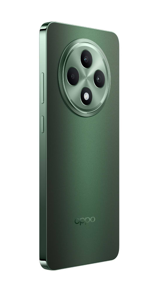 Фото - Смартфон OPPO Reno 12 FS 5G 12/512Gb Black Green