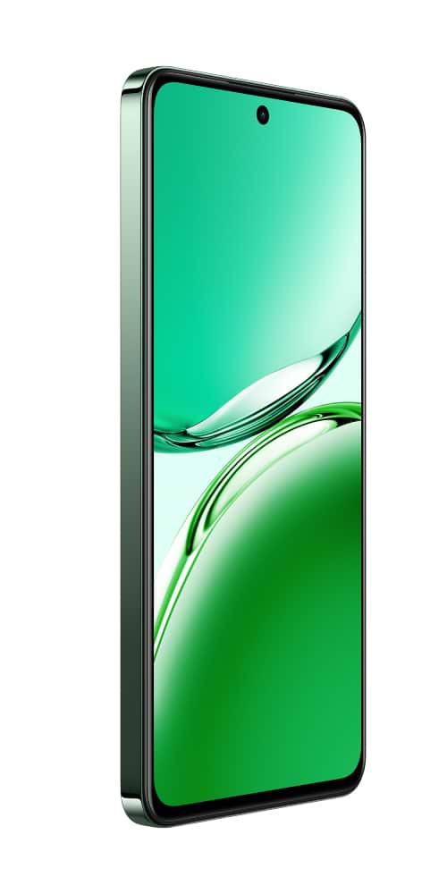 Фото - Смартфон OPPO Reno 12 FS 5G 12/512Gb Black Green