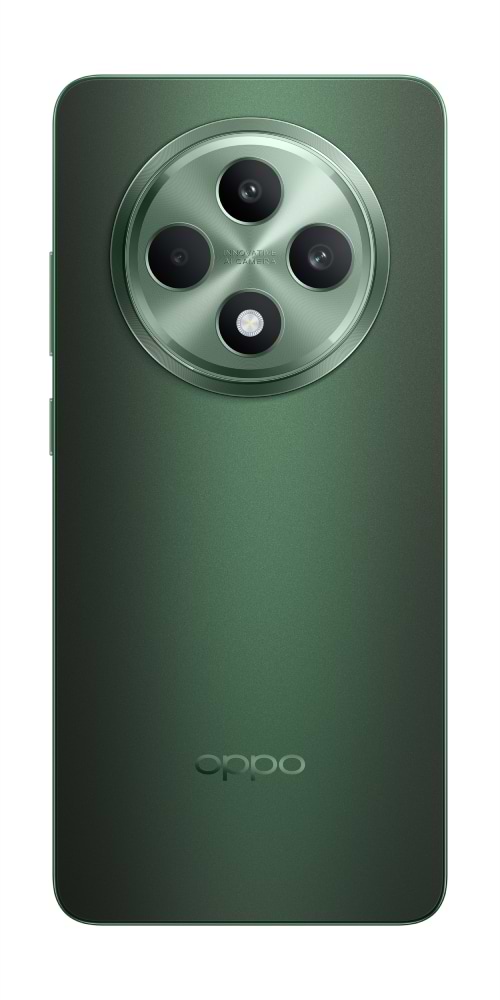 Фото - Смартфон OPPO Reno 12 FS 5G 12/512Gb Black Green
