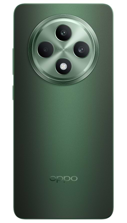 Фото - Смартфон OPPO Reno 12 F 5G 8/256Gb Black Green