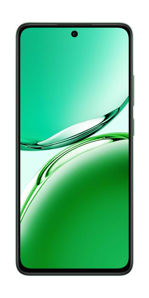 Фото - Смартфон OPPO Reno 12 FS 5G 12/512Gb Black Green