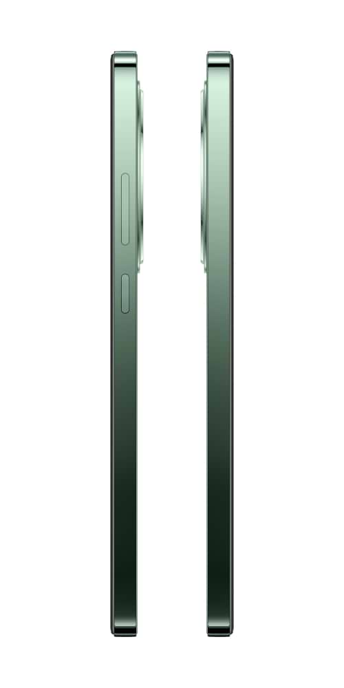 Фото - Смартфон OPPO Reno 12 FS 5G 12/512Gb Black Green